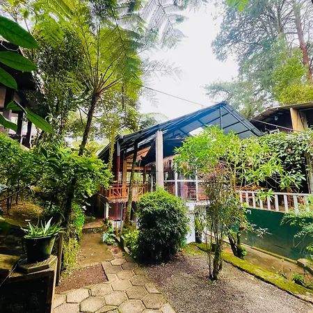 King Fern Cottage-3